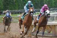 Сроки начала отчислений от азартных игр на спорт передвинут