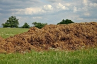 Органические удобрения исключат из списка агрохимикатов