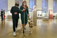 В правилах по выгулу собак могут сделать исключение для поводырей