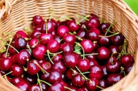 Агроном назвал правила выбора лучшей клубники и черешни