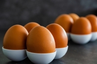 Минсельхоз предложил птицеводам перейти на поставки яиц по прямым контрактам