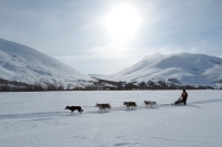 Кочевникам предлагают регистрироваться в любых муниципалитетах