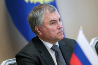 Володин назвал пустой декларацией статью Конституции Украины о гарантиях свободы языков национальных меньшинств 