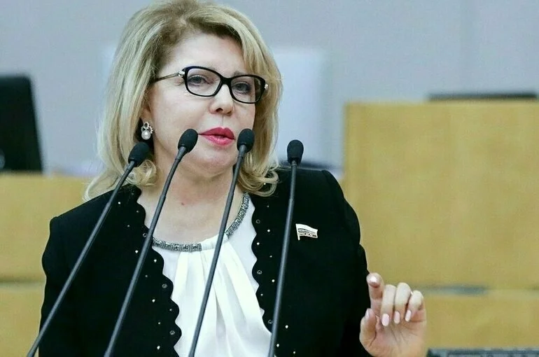 Панина назвала вердикт Гааги по делу Младича предвзятым