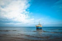 Рыбакам-прибрежникам разрешат потрошить улов на борту
