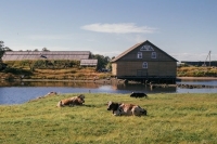 Траты на реставрацию Соловков хотят взять под контроль