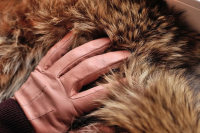 Израиль первым в мире отказался от продажи натурального меха