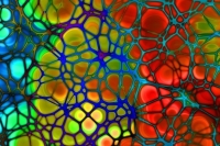 Почему в Европе запретили переливание крови