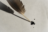 Какие права даровала Великая хартия вольностей