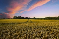 Органические удобрения можно будет не регистрировать