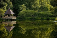 В лесах хотят разрешить строить спортплощадки и беседки