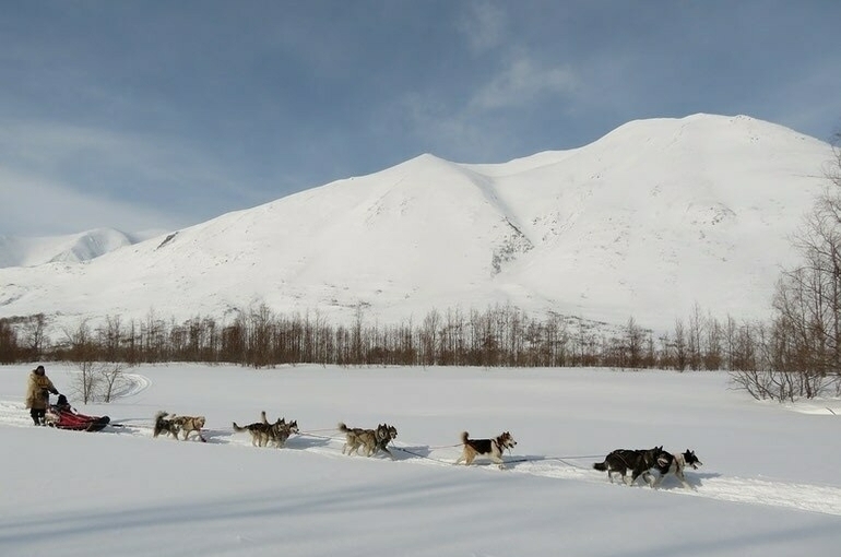 Кочевникам разрешат регистрироваться в районе кочевания