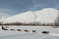 Кочевникам разрешат регистрироваться в районе кочевания