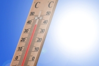 Врач рассказал, как бороться с жарой на работе