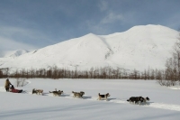 Кочевникам разрешат регистрироваться в любом муниципалитете на их маршруте