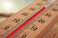 Жара в Москве продержится до следующей недели, сообщили в Гидрометцентре 