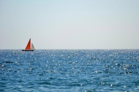 Ростуризм предложил пускать туристов на Кубань после 1 августа по ПЦР-тесту