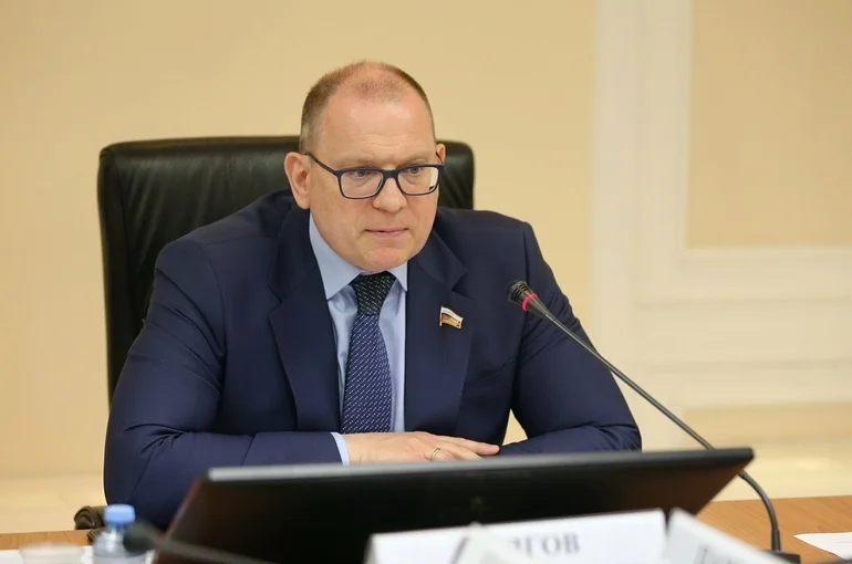 Сенатор предлагает Белоруссии и России продвигать компьютерные технологии за рубежом