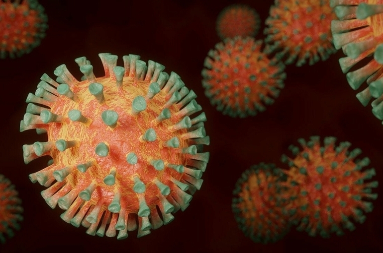 Центр им. Гамалеи оценил эффективность &laquo;Спутника V&raquo; против индийского штамма