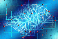 Полетаев: развитие информтехнологий требует новых подходов к институту права