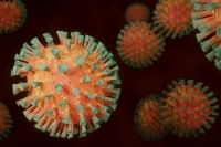 Большинство пациентов на ИВЛ могли заразиться штаммом &laquo;дельта&raquo;, заявил эксперт