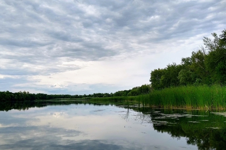 СК выясняет причины загрязнения Волги под Саратовом