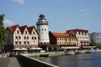 Иностранцам в Калининграде запретили работать в кондитерских, школах и такси