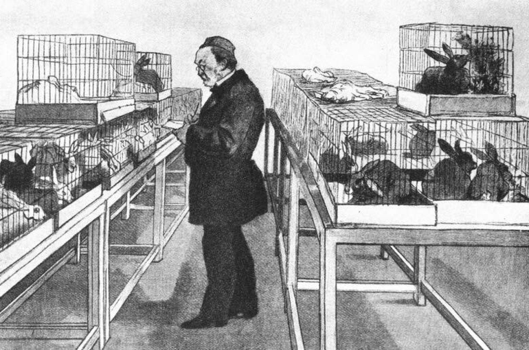 На ком испытали вакцину от бешенства