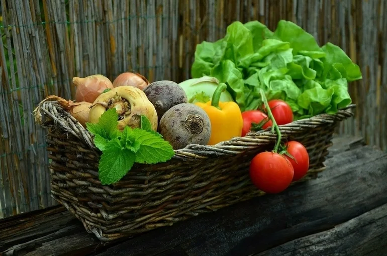 В ФАС разъяснили порядок регулирования цен на социально значимые продукты