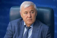 Аксаков предложил ввести плавающую ставку пошлин на стройматериалы