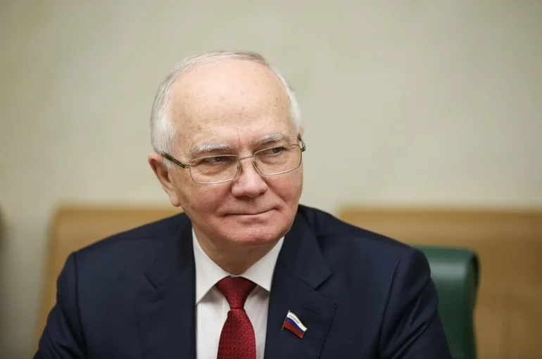 Российские сенаторы будут наблюдать за парламентскими выборами в Молдавии