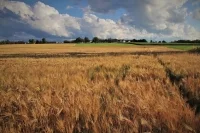 Регионы получат еще 6 млрд рублей на развитие сельских территорий