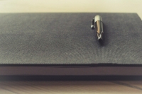 В Общественной палате предложили создать Единый кодекс безопасности   