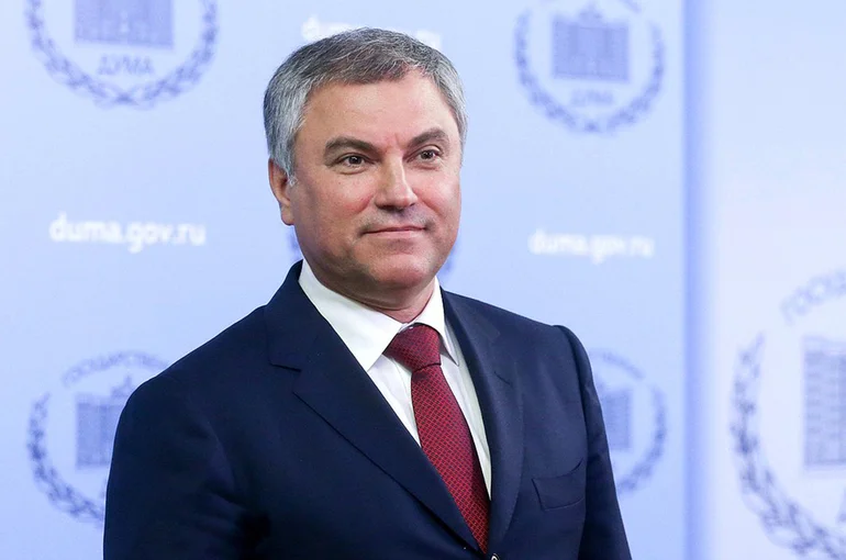 Володин: нужно создать оптимальные условия для работы ветеранских организаций в России
