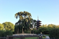  В Японии произошло землетрясение магнитудой 5,1 