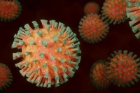 В Роспотребнадзоре рассказали, как будет работать биочип для диагностики COVID-19