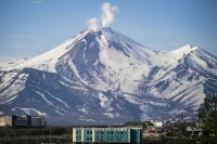 На Дальний Восток — за морскими гребешками, а в Арктику — за земельными участками