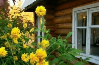 Путин поручил до конца года проработать программу ипотеки для частных домов