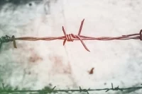 Австрия окажет помощь Литве по защите границ