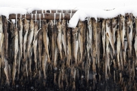 Кабмин просубсидирует перевозки минтая с Дальнего Востока