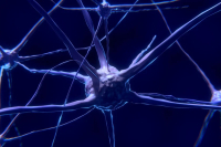 Учёные заявляют о снижении интеллекта у переболевших COVID-19