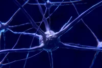 Учёные заявляют о снижении интеллекта у переболевших COVID-19