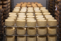 СМИ: Минфин предложил зачислять налоги по месту производства продукции