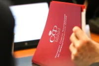 Сенаторы обсудили с президентом Татарстана координацию на внешнем рынке