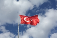 Число пострадавших при лесных пожарах в Турции выросло до 410 человек