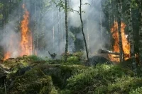 В турецком Бодруме эвакуировали туристов из трех отелей