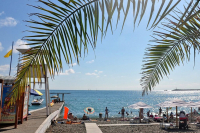 Эксперт объяснил призыв туроператоров к перезапуску международного туризма