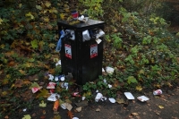 Число незаконных свалок в России ежегодно растёт более чем на 30%, заявили в Совбезе