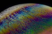 Для глав компаний предложили предусмотреть дисквалификацию за нефтеразливы