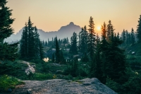 В Минприроды подготовили новые нормативы противопожарного обустройства лесов